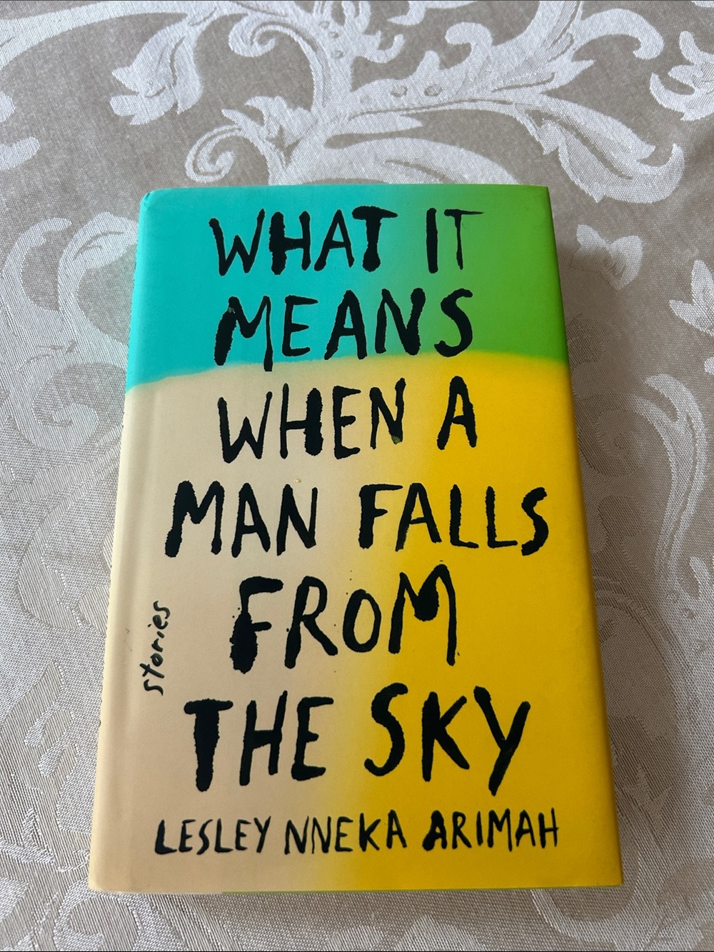 What It Means When a Man Falls from the Sky - Paperback
